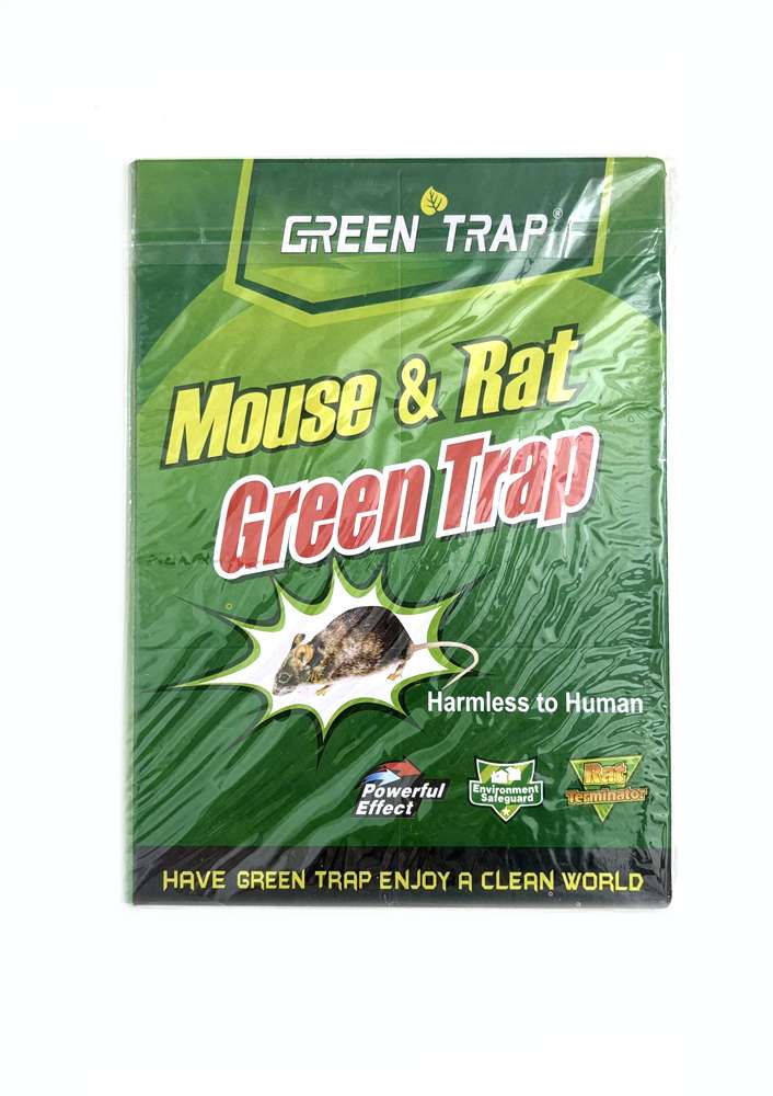 Green Trap - გრინ თრაპ, არატოქსიკური  წებო თაგვების, მწერების და მცოცავების დასაჭერად