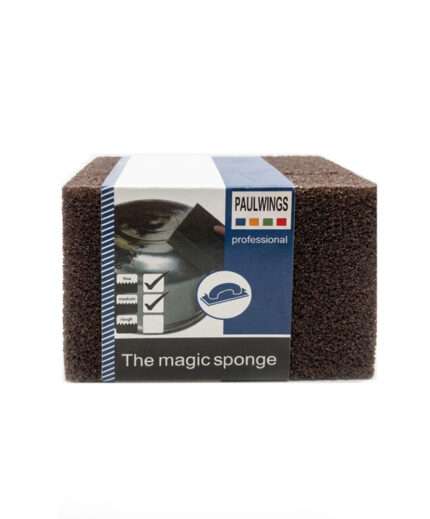 საწმენდი ღრუბელი-Paulwings Professional "The magic sponge"